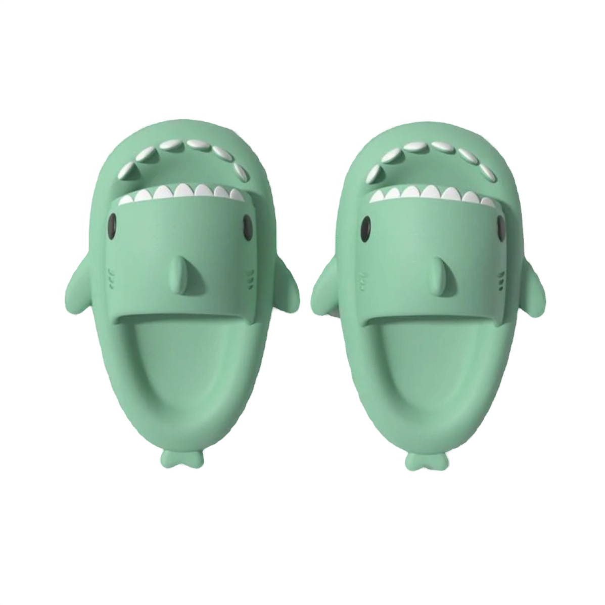 Sharky Comfort Slides